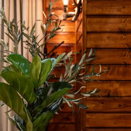 Gæstehus чудните мостове